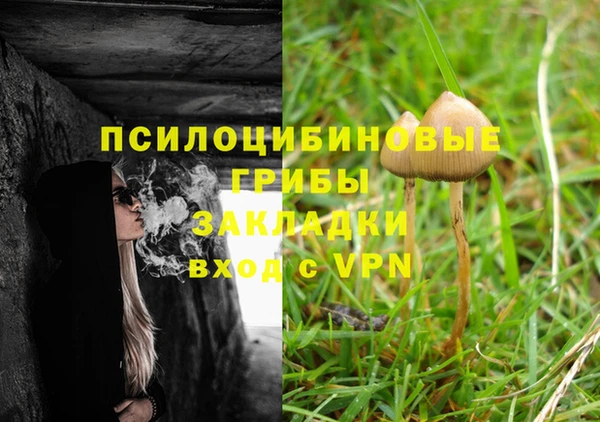 PSILOCYBIN Горнозаводск